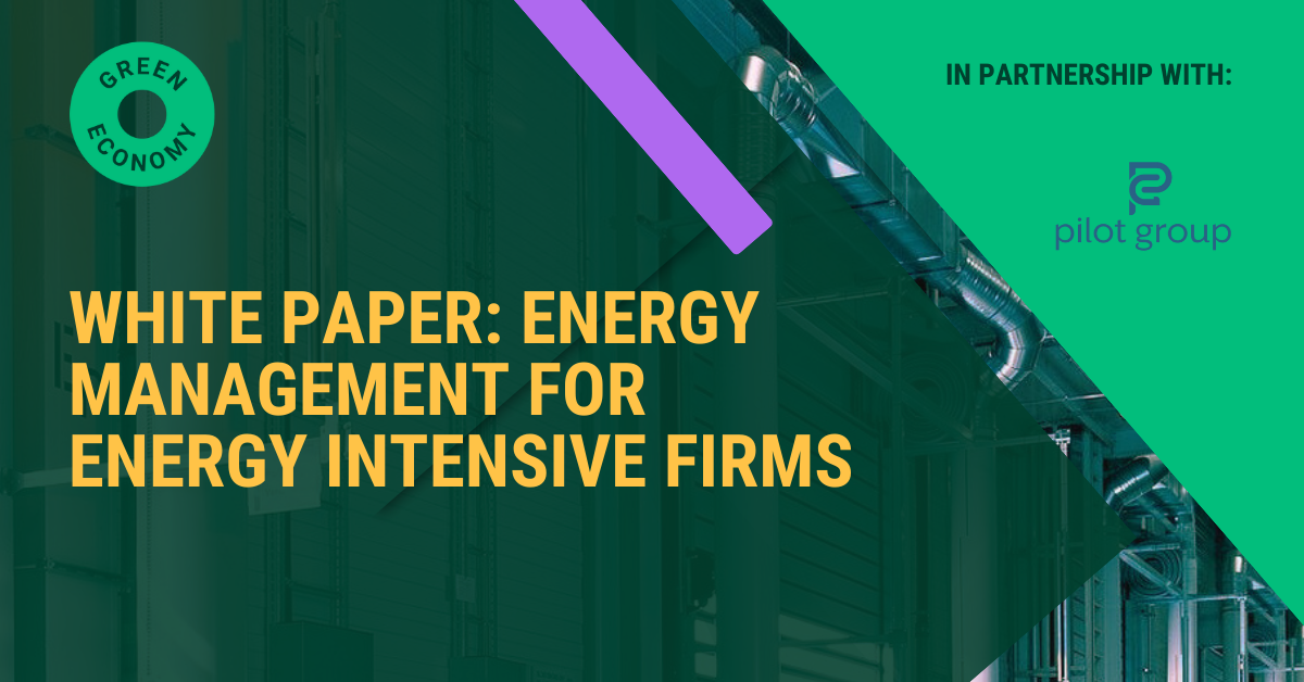 Image with Green Economy and Pilot Group logo, text reads: White paper: energy management for energy intensive firms 