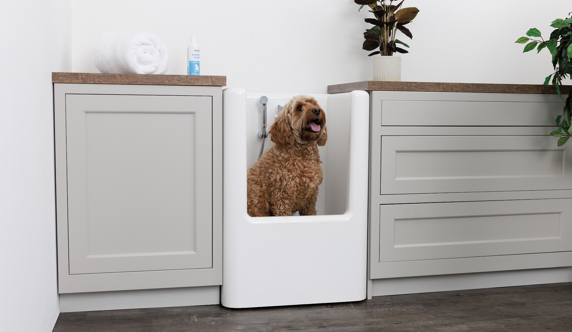 Pablo in the incredible dog shower